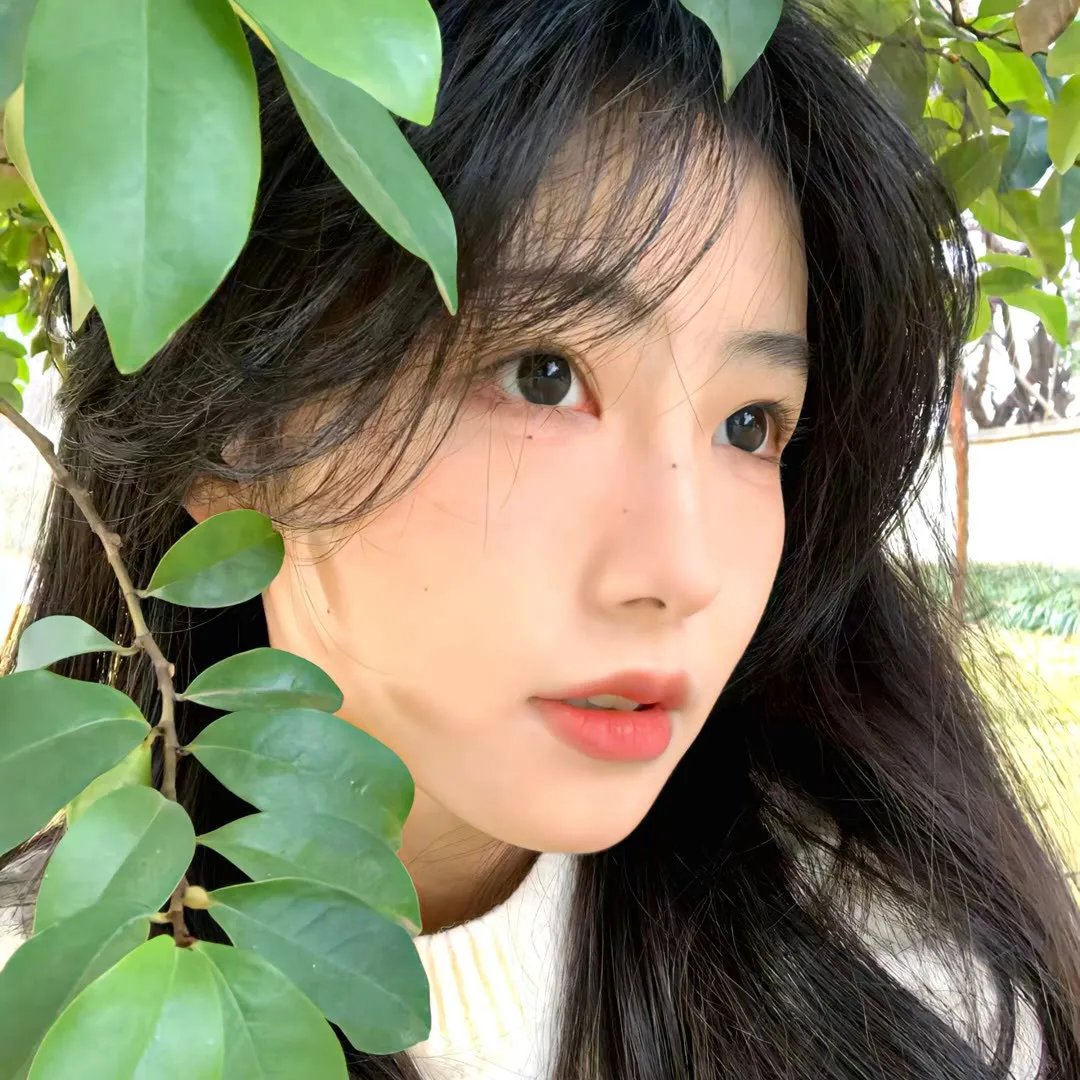 私人地区
